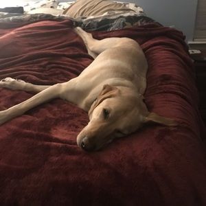 Meet your Posher, Rebecca